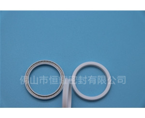 HOA、HVA軸用泛塞封 (16)