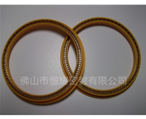 HOD、HVD旋轉(zhuǎn)泛塞封 (6)