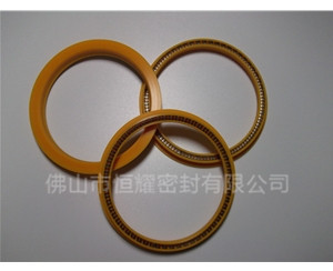 HOD、HVD旋轉(zhuǎn)泛塞封 (8)