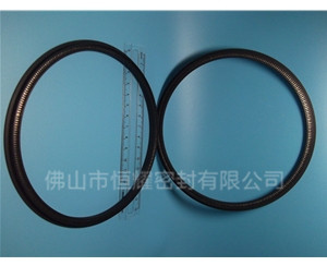 HOD、HVD旋轉(zhuǎn)泛塞封 (13)