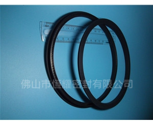HOD、HVD旋轉(zhuǎn)泛塞封 (15)